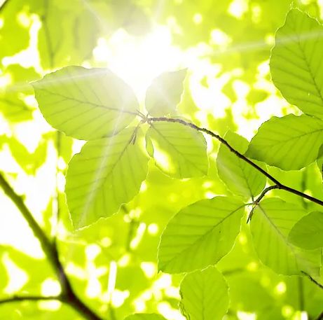 Bedemand odense  sådan får du ro til at tage afsked
