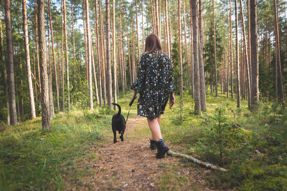 Flexliner til hund: mere frihed på gåturen